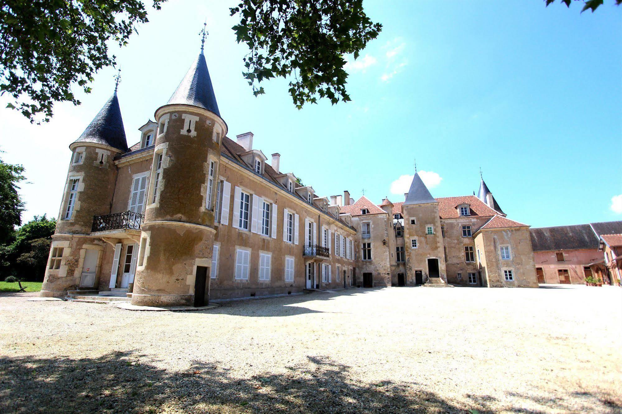 Chateau D'Island Vezelay Pontaubert Zewnętrze zdjęcie